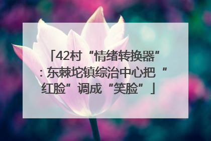 42村“情绪转换器”：东棘坨镇综治中心把“红脸”调成“笑脸”