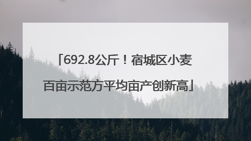 692.8公斤！宿城区小麦百亩示范方平均亩产创新高