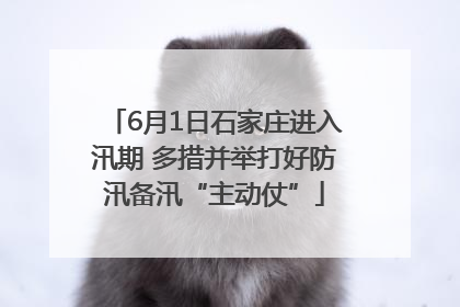 6月1日石家庄进入汛期 多措并举打好防汛备汛“主动仗”