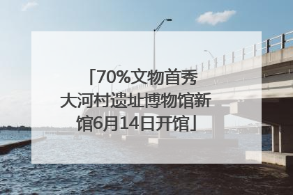 70%文物首秀 大河村遗址博物馆新馆6月14日开馆