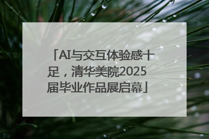 AI与交互体验感十足，清华美院2025届毕业作品展启幕