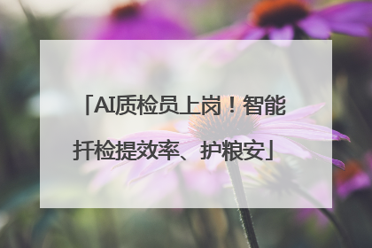 AI质检员上岗！智能扦检提效率、护粮安