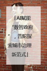 AI赋能“数智政府”，普陀探索城市治理新范式