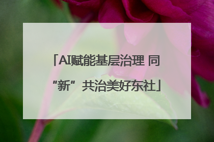 AI赋能基层治理 同“新”共治美好东社