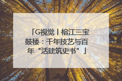 G视觉丨榕江三宝鼓楼：千年技艺与百年“活建筑史书”