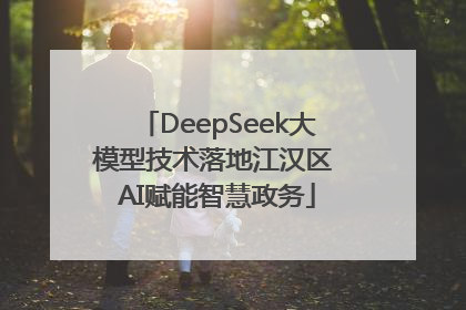 DeepSeek大模型技术落地江汉区 AI赋能智慧政务