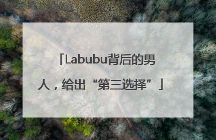 Labubu背后的男人，给出“第三选择”